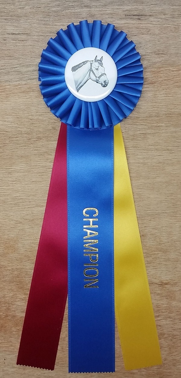 Extra Large Red and Pink Vintage Horse Show Award Rosette Ribbon
