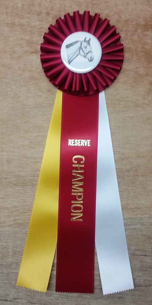 Quick Ship Horse Show Reserve Champion Rosette Ribbon McLaughlin