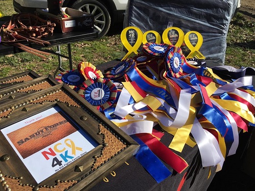 horse show ribbons for a cancer research