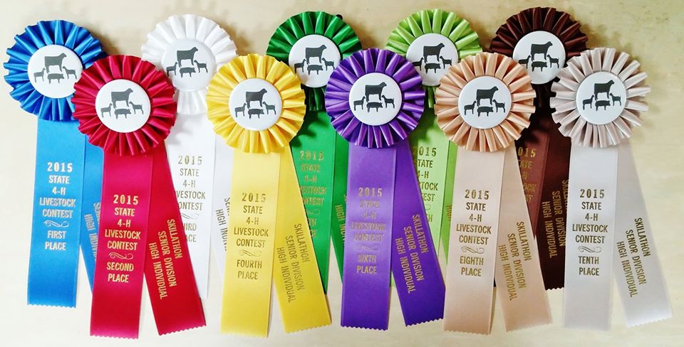 HORSE AWARD RIBBONS 1ST 10TH PLACE,CLUBS,EVENTS,PARTYS