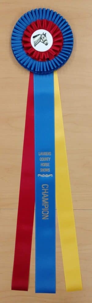 deluxe 28 champion award rosette ribbon
