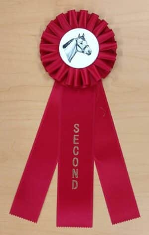 quick ship horse show rosette ribbon second place