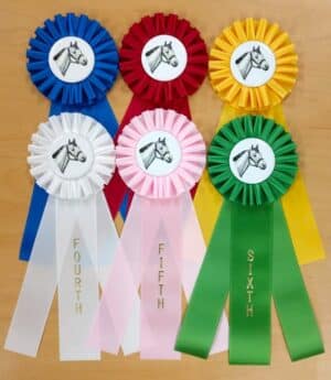 quick ship horse show rosette ribbon set