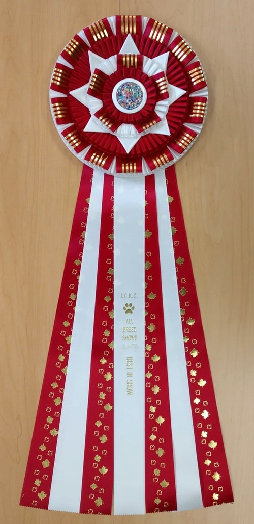 glastonbury 32 award ribbon rosette