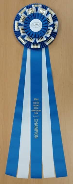 lexington 30 champion award rosette ribbon