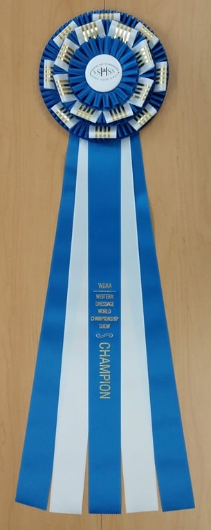 lexington 30 champion award rosette ribbon