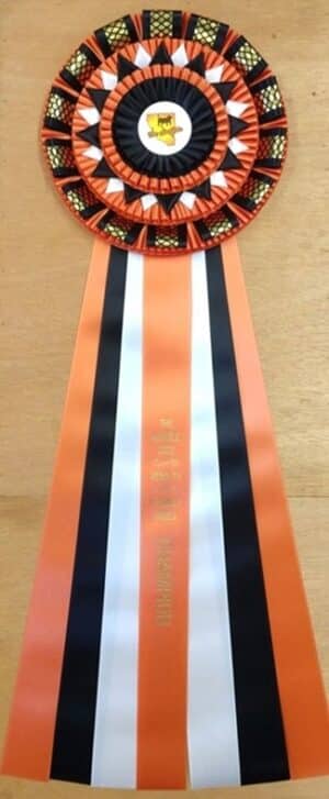 trinity award rosette ribbon